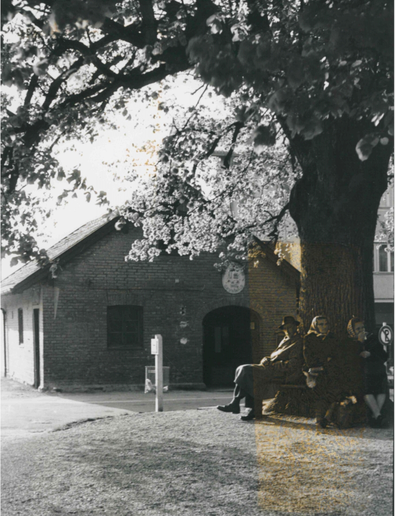 Anno 1958