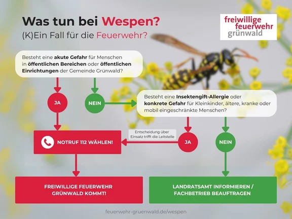 Was tun bei Wespen?